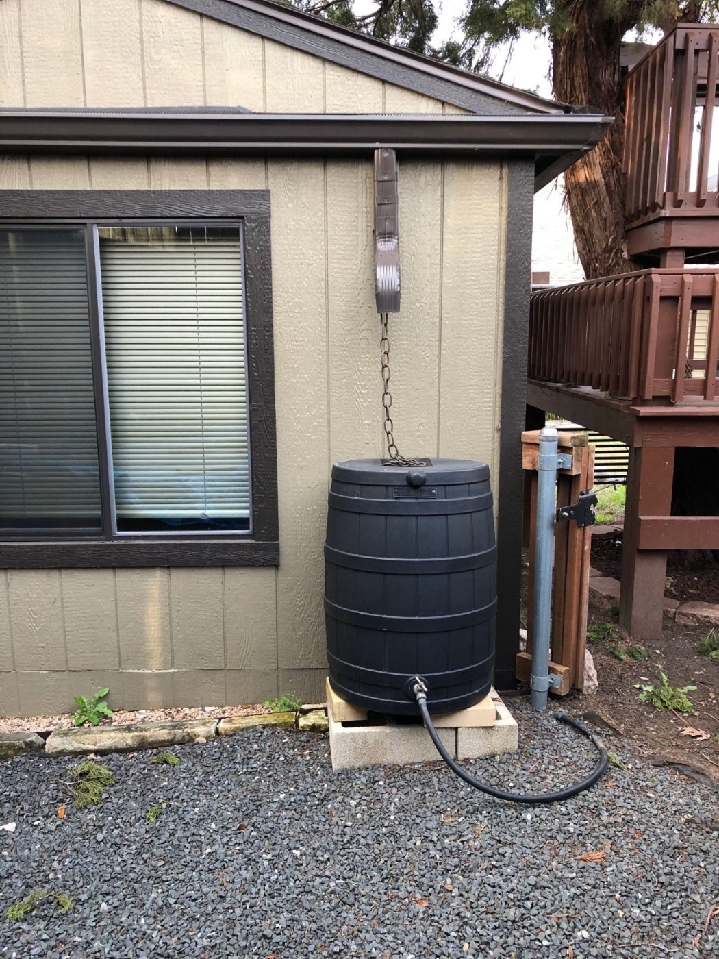 Downspout feeding a rain barrel beside a freshly painted home